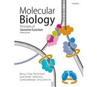 Molecular Biology by Wolberger & Cynthia Professor & Department of Biophysics and Biophysical Chemistry School of Medicine & Johns Hopkins University Scho Wolberger Cynthia Professor Department of Bio