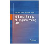 Molecular Biology Of Long Non-Coding Rnas