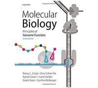 Molecular Biology: Principles Of Genome Function