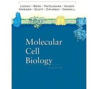 Molecular Cell Biology Arnold Berk, Chris A. Kaiser, Harvey F. Lodish, James Darnell, Matthew P. Scott, Monty Krieger, Paul Matsudaira, S. Lawrence Zipursky (Auteur)