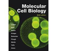 Molecular Cell Biology (International Edition) by Lodish, Harvey [Paperback]