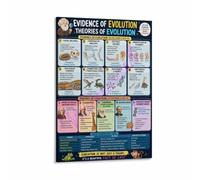 Molecular Evidence Poster DNA Sequence Similarity Phylogenetic Tree | Reveals evolutionary relationships through genetic code comparisons across species(Magnetic,12x18inch(30x45cm))