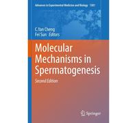 Molecular Mechanisms In Spermatogenesis