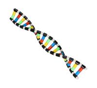 Molecular Model Kit - 15,75 x 2,24 x 0,39 pouces, Double Helix Structure Educational Toy | Kids Models Science Teaching Aid, Learning and Educational Kit for Classroom, School Science Experiments