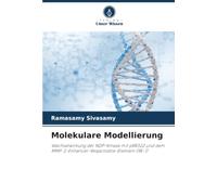 Molekulare Modellierung: Wechselwirkung der NDP-Kinase mit pBR322 und dem MMP-2-Enhancer-Responsible-Element (RE-1)