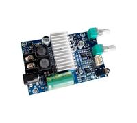 MOLERRI Carte Amplificateur de Subwoofer Haute Puissance TPA3116 Mono 100W, Qualité Audio de Niveau Audiophile 24V