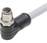 Molex 1205000221 Connecteur confectionné pour capteurs/actionneurs mâle, coudé 1 m Nombre de pôles: 5 1 pc(s) Bag