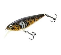 Molix Brugas R Minnow 20g 85 Mm Argenté