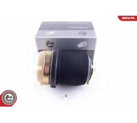 Molle Pneumatique, Châssis Arrière Pour AUDI A6 A6 Allroad