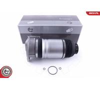 Molle Pneumatique, Châssis Arrière Sx Pour AUDI A8