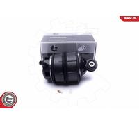 Molle Pneumatique, Châssis Arrière Sx Pour MERCEDES-BENZ CLS