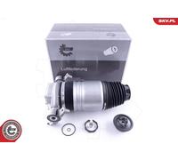 Molle Pneumatique, Châssis Arrière Sx Pour PORSCHE VW CAYENNE TOUAREG