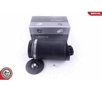 Molle Pneumatique, Châssis Autonome Pour MERCEDES-BENZ CLASSE R