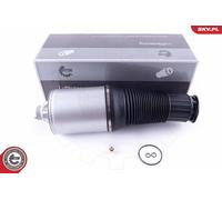 Molle Pneumatique, Châssis Avant Dx Pour AUDI VW A8 PHAETON