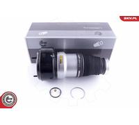 Molle Pneumatique, Châssis Avant Pour MERCEDES-BENZ CLASSE S