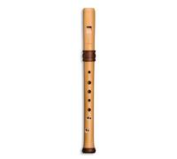 Mollenhauer 4119 Adris Dream Soprano Recorder - Flûte à bec soprano (baroque)
