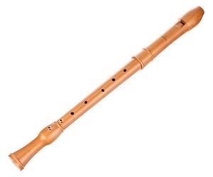 Mollenhauer Mollenhauer 2406 Canta Tenor Recorder