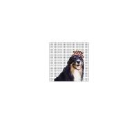 Mollie's Mix