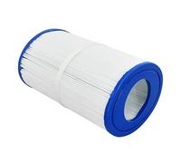 Molloparts Filtre de spa ovale PDM30 461269 FC9940M compatible avec Stonehenge Odyssey Big EZ Spa EZL Fantasy compatible avec Crossover 730L 730S