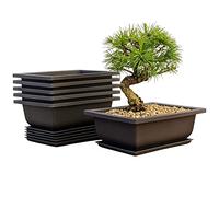 Mollyfox Lot de 6 Bonsai Rectangulaire, 23x17x8cm, Pot en Plastique Avec Trous de Drainage et Soucoupes, Décoratif pour Fleurs et Plantes, Jardin, Cour, Chambre, Balcon
