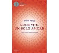 Molte Vite, Un Solo Amore. L'eterno Incontro Delle Anime Gemelle