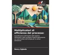 Moltiplicatori di efficienza del processo:: Quantificazione dell'impatto della logistica ottimizzata e della strategia di approvvigionamento sul costo livellato dell'energia per le utenze domestiche