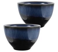 MOLUCKFU 2 pièces Tasses à Sake Céramique Japonaise Lisses et Élégantes Pour Thé et Vin Pratique et Facile à Nettoyer