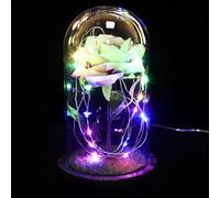 MOLUCKFU Lampe LED Rose Éternelle sous Cloche en Verre Transparent USB Lampe de Table Décorative Multicolore pour Maison Festival et Ambiance Chaleureuse Fleur Lumineuse Rgb