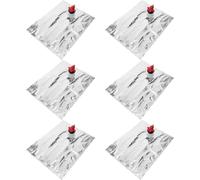 MOLUCKFU Lot de 6 Pochettes à Vin 2l avec Bec Verseur à Soupape, Sachets à Boissons Réutilisables, Matériau Stable sans Goût, pour Pique-niques, Camping et Fêtes