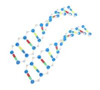 MOLUCKFU Modèle Pédagogique de L'adn à Double Hélice pour Étudiants, Kit Moléculaire Éducatif 2 Pièces, Composants Scientifiques pour Apprentissage en Laboratoire et Enseignement Génétique
