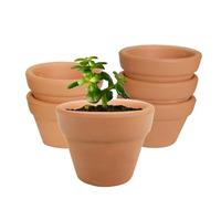 Molyorch 6 Pièces Pot en Terre Cuite de Succulent Cactus, Pot Fleur Exterieur Terre Cuite, pour Cactus, Fleurs, Plantes Grasses, pour Jardinage, Bricolage, Cadeaux de Mariage (10 * 10cm)