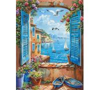 MOMAKA 5D Diamond Painting Kits Bateau à Fenêtre, Diamant Peinture Kits Point De Croix Broderie Fleur, Kits Diamant Arts Craft Cross Embroidery Pour La Décoration Murale à Domicile 30x40cm