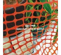 Momentary Lapse Of Happily