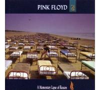 Momentary Lapse of Reason