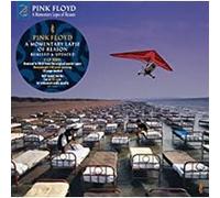 Pink Floyd – A Momentary Lapse Of Reason: Remixed & Updated – Vinyle (LP) – Sony Music