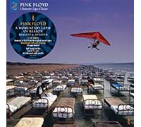 Momentary Lapse Of Reason Vinyle