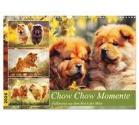 Moments de Chow Chow. La poésie du poil de l'Empire du Milieu, Version française (Calendrier mural 2026 DIN A3 portrait), Calendrier CALVENDO mensuel