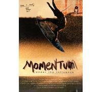 Momentum: Under the Influence