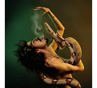 Momo Said - Break the Rules