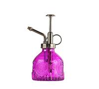Momolaa Arrosoir en Verre Fleur,Arrosoir Plante Vintage,Arrosoir Vaporisateur,arrosoir Vaporisateur Plante Interieur,Arrosoir en Verre Rétro,Vaporisateur d'arrosage en Verre 200ml_Violet