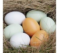 Momolaa Eggs Lot de 7 œufs de Poule artificiels,Œufs de Pâques,Faux Œufs,Simulation Œufs en Bois,Œufs de Couleur Unie,2,3 Pouces, 3 Couleurs