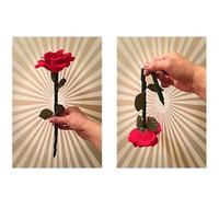 MOMOMAGE The Breakaway Flower Magic Tricks Break Restore Rose Magic Accessories Close Up Illusions Gimmicks Comédie Mentalisme Accessoires pour Magiciens