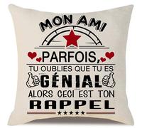 Mon Ami Housse de Coussin Parfois Tu Oublies Que Tu ES Génial Alors Ceci Est Ton Rappel pour Anniversaire Noël Cadeau de Rappel Cadeau d'inspiration pour Les Amis Cadeau du Meilleur Ami(Cher ami)