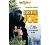 Mon ami Joe