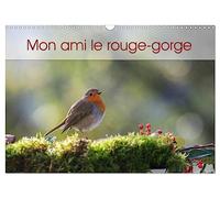 Mon ami le rouge-gorge (Calendrier mural 2027 DIN A3 vertical), CALVENDO calendrier mensuel: Une année de la vie du rouge-gorge