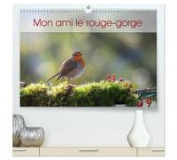 Mon ami le rouge-gorge (Calendrier mural haut de gamme 2027 DIN A2 vertical), CALVENDO calendrier mensuel: Une année de la vie du rouge-gorge