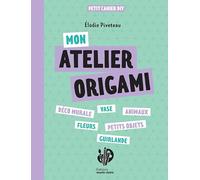 Mon atelier origamis: 12 modèles variés