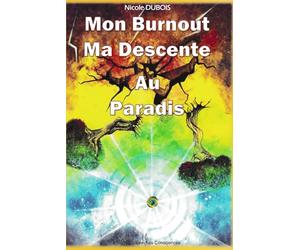 MON BURNOUT MA DESCENTE AU PARADIS: Témoignage d'un burnout qui conduit sur le chemin de l'éveil spirituel et la découverte du monde énergétique et invisible