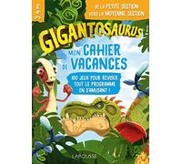 Mon cahier de vacances Gigantosaurus PS-MS