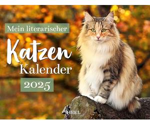 Mon calendrier littéraire chat calendrier mural 2025 : calendrier d'entrée avec douze belles citations. Calendrier 2025 pour chats